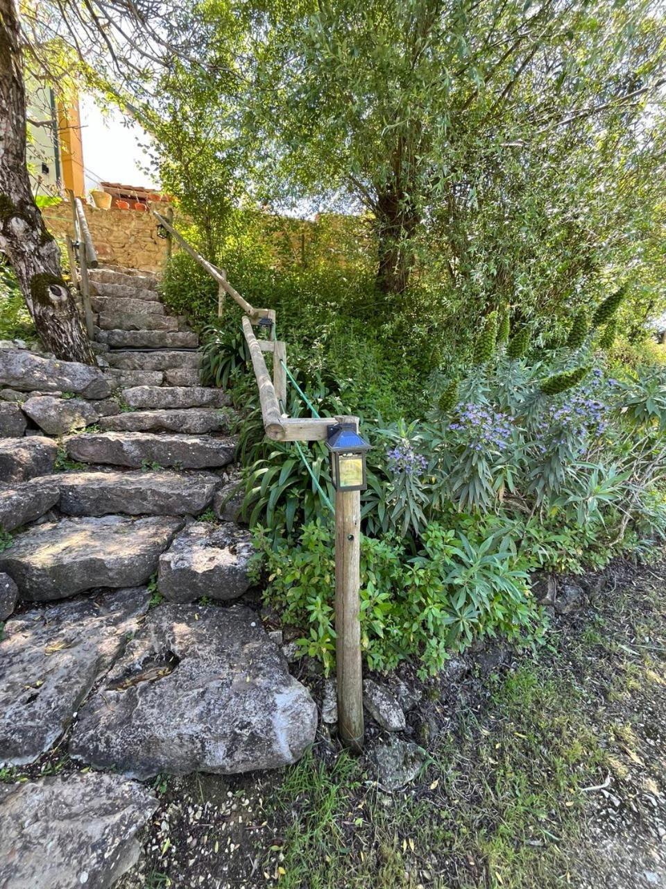 Quinta Laranja - Turismo Rural - Alvorninha Экстерьер фото