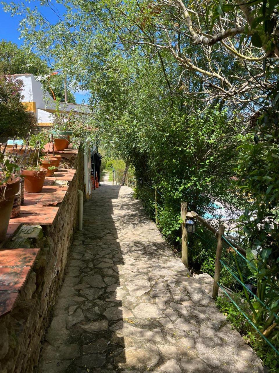 Quinta Laranja - Turismo Rural - Alvorninha Экстерьер фото