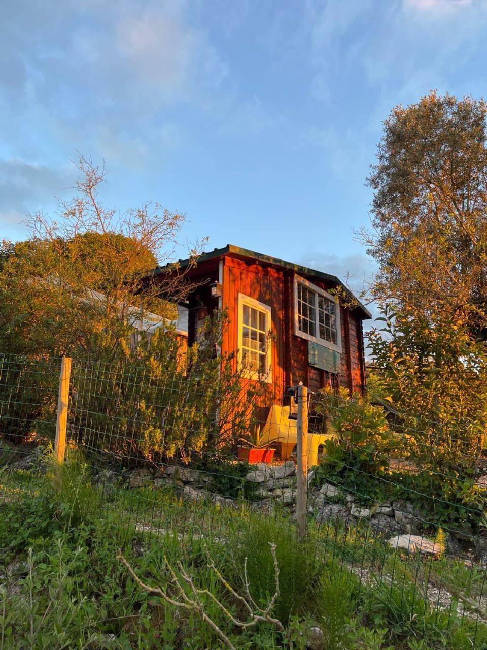 Quinta Laranja - Turismo Rural - Alvorninha Экстерьер фото