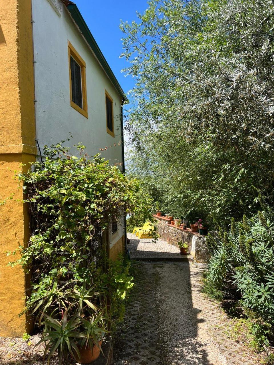 Quinta Laranja - Turismo Rural - Alvorninha Экстерьер фото