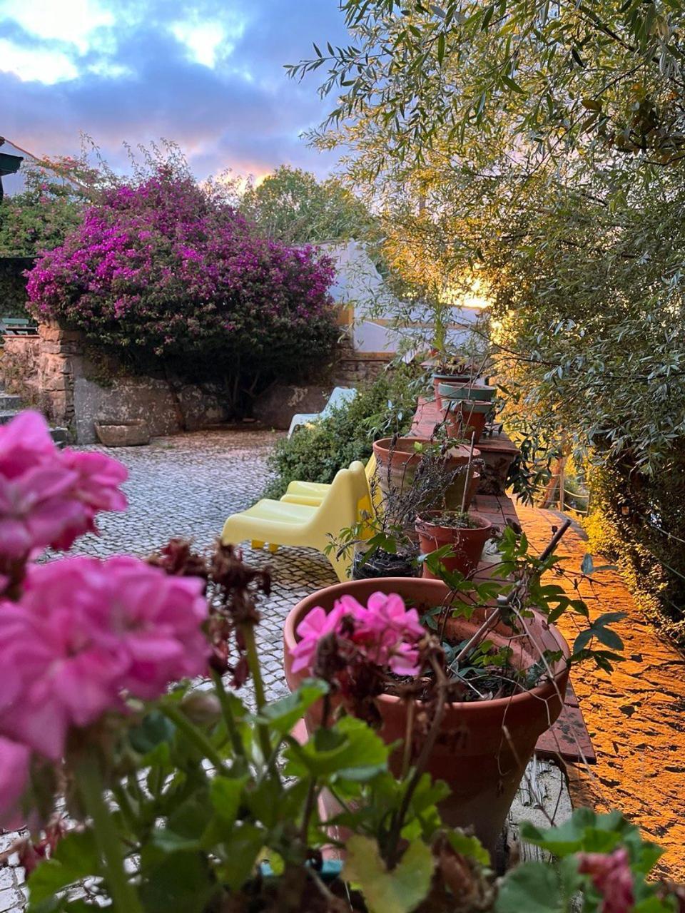 Quinta Laranja - Turismo Rural - Alvorninha Экстерьер фото