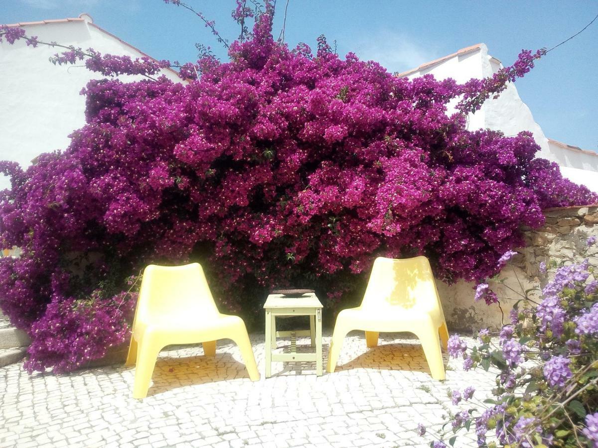 Quinta Laranja - Turismo Rural - Alvorninha Экстерьер фото